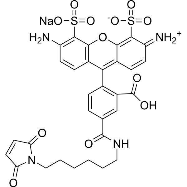 AF 488 maleimide